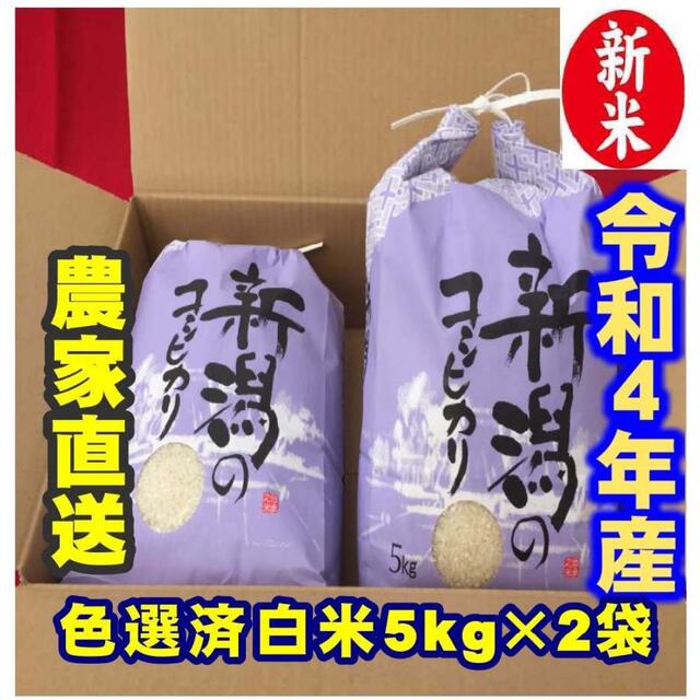 白米5kg×2個☆農家直送☆色彩選別済14　新米・令和4年産新潟コシヒカリ　米/穀物