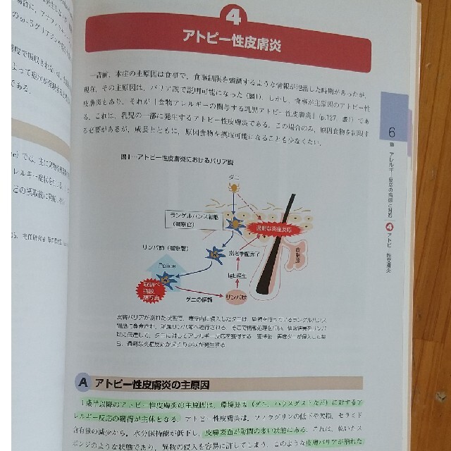 知識とスキルが見てわかる専門的皮膚ケア スキントラブルの理解と予防的・治療的スキ エンタメ/ホビーの本(健康/医学)の商品写真