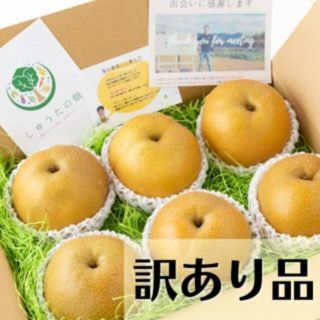 【お得！訳あり品】希少！爽やかでスッキリとした上品な甘さに笑顔こぼれる♪(フルーツ)