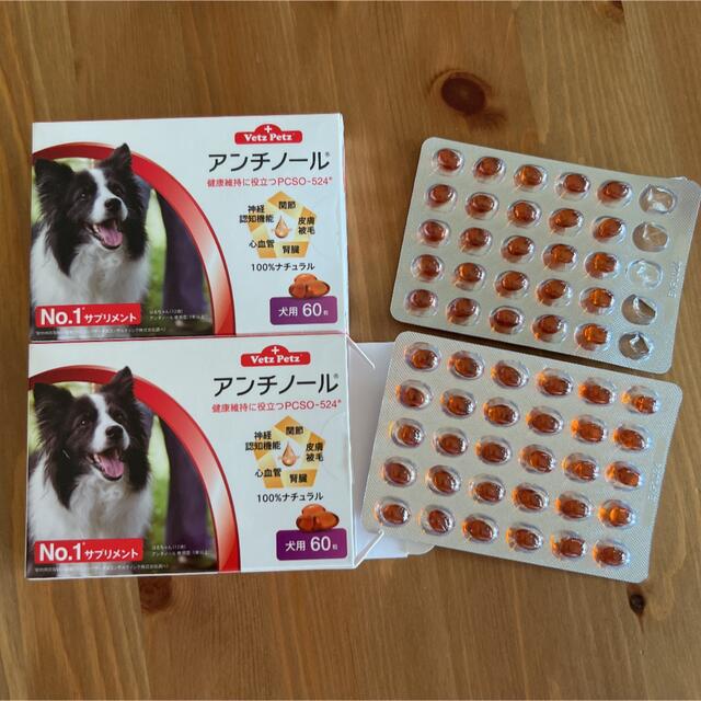 アンチノール 犬 tireplus.co.kr