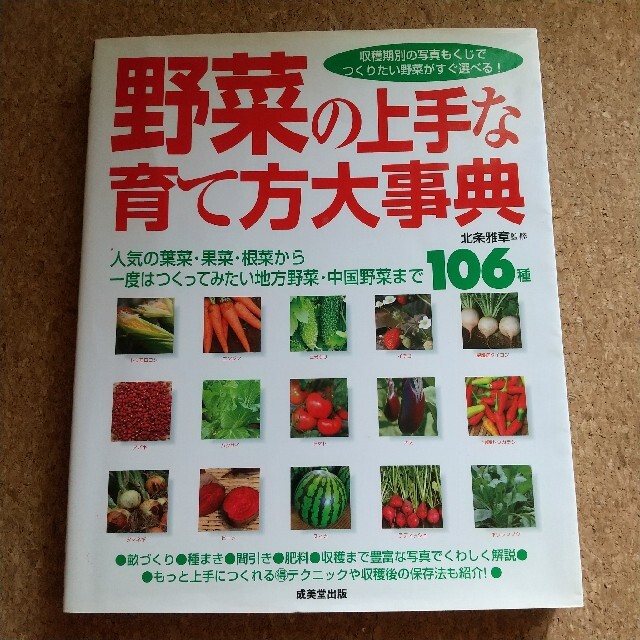 野菜の上手な育て方大辞典　106種 エンタメ/ホビーの本(住まい/暮らし/子育て)の商品写真