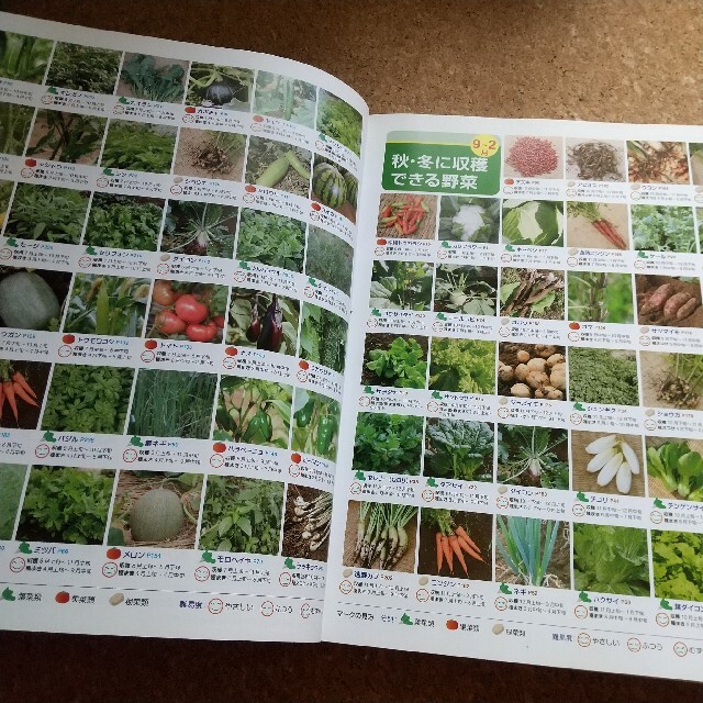 野菜の上手な育て方大辞典　106種 エンタメ/ホビーの本(住まい/暮らし/子育て)の商品写真