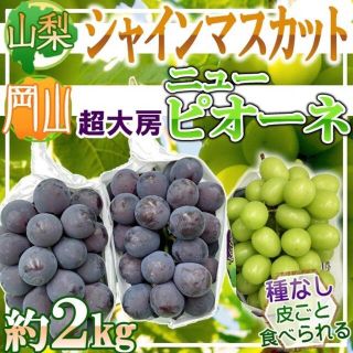 山梨県産シャインマスカット1房＆岡山県産超大房ニューピオーネ2房　総重量約2kg(フルーツ)