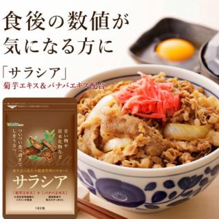 サラシア  炭水化物ブロック 菊芋  ダイエットサプリメント 約3ヵ月分 (ダイエット食品)