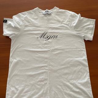 エムエスジイエム(MSGM)のMSGM   Tシャツ(Tシャツ/カットソー(半袖/袖なし))