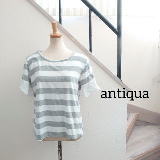 アンティカ(antiqua)のUS31 新品同様 antiqua ボーダー Tシャツ グレー 袖フリル 綿(Tシャツ(半袖/袖なし))