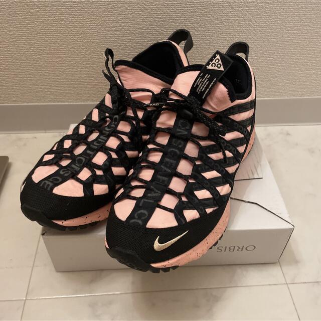 NIKE(ナイキ)のナイキ ACG リアクト テラ ゴービー メンズの靴/シューズ(スニーカー)の商品写真