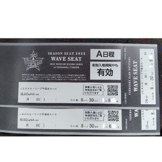 8月5日(土)横浜DeNAベイスターズvs阪神外野通路側含む連番2枚