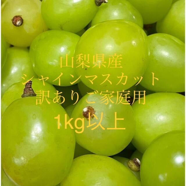 lovelani.com - シャインマスカット ご家庭用 1.3kg 訳あり 価格比較