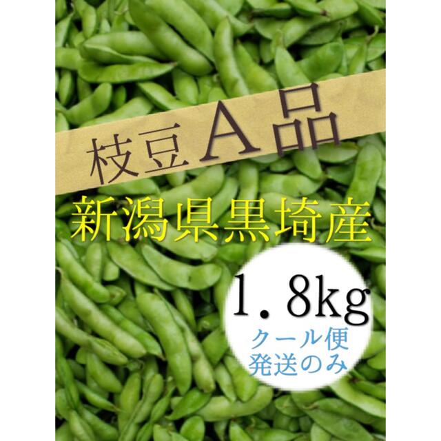 54 【A品3.7kg】 食品/飲料/酒の食品(野菜)の商品写真