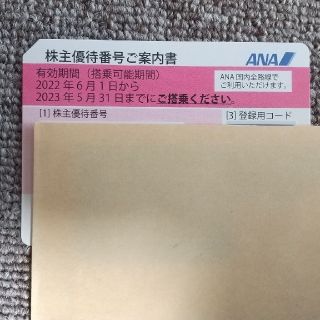 エーエヌエー(ゼンニッポンクウユ)(ANA(全日本空輸))のANA株主優待券 有効期限2023年5月.31日(その他)