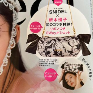 スナイデル(SNIDEL)のSweet 付録のみ (ポシェット)