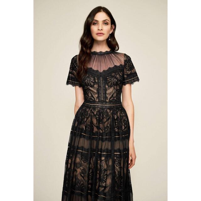 TADASHI SHOJI - TADASHI SHOJI ブラック タダシショウジ レース
