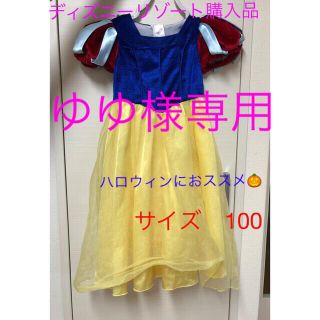 シラユキヒメ(白雪姫)の白雪姫　ドレス　ディズニーリゾート購入品　ハロウィン　サイズ100(ドレス/フォーマル)