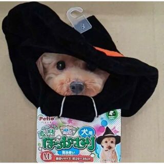 ハロウィン　ペティオ 犬用品  ほっかむり かぶりもの 魔法使い 魔女 Mサイズ(犬)