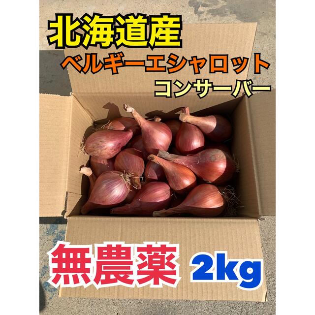 北海道産　無農薬　ベルギーエシャロット　正品　2kg 食品/飲料/酒の食品(野菜)の商品写真