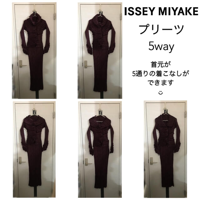 ISSEY MIYAKE(イッセイミヤケ)の〈新品〉 ISSEY MIYAKE ✴︎ プリーツ 変形トップス 上下セット レディースのレディース その他(セット/コーデ)の商品写真