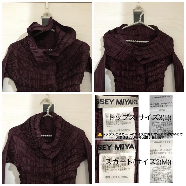 ISSEY MIYAKE(イッセイミヤケ)の〈新品〉 ISSEY MIYAKE ✴︎ プリーツ 変形トップス 上下セット レディースのレディース その他(セット/コーデ)の商品写真