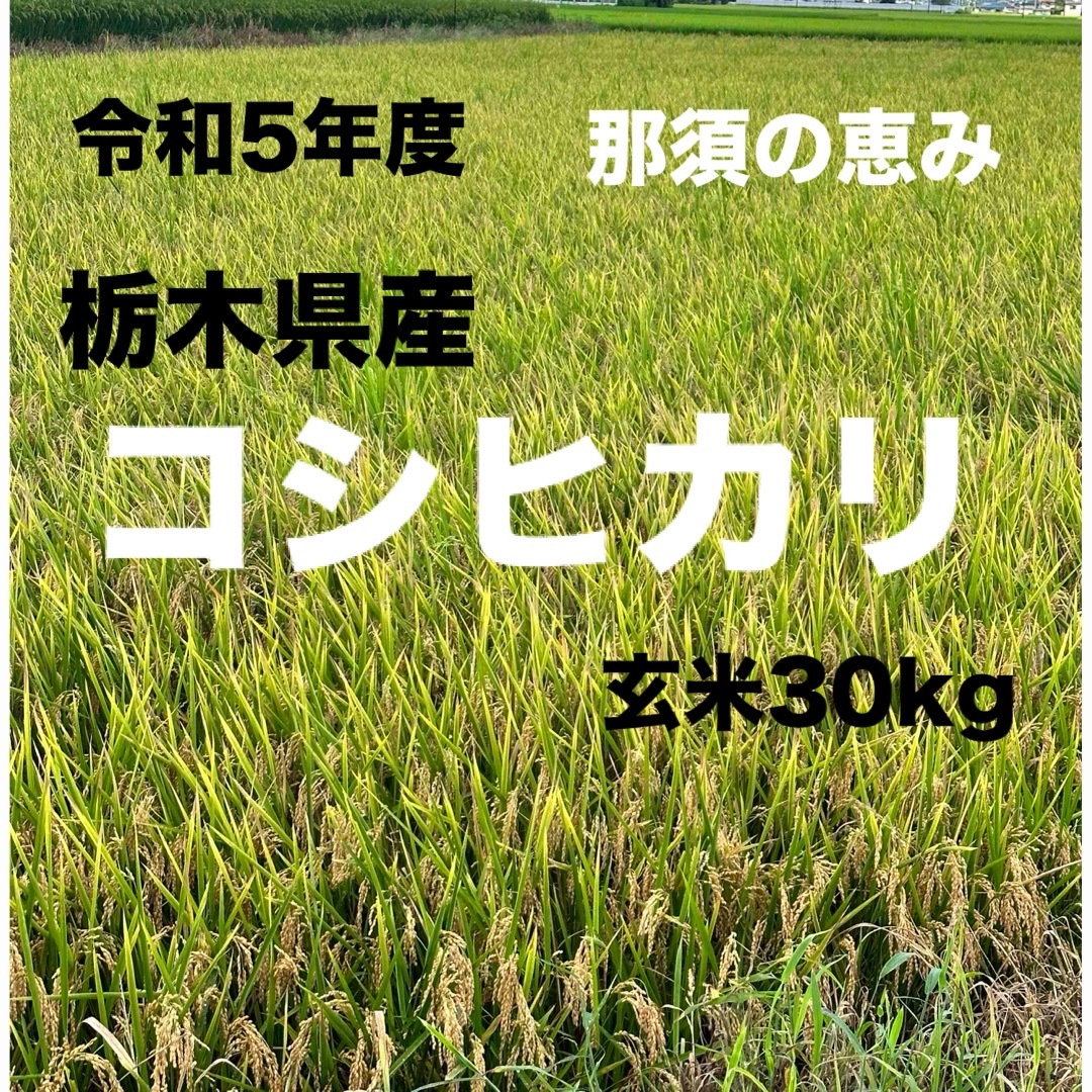 令和5年度 栃木県産 コシヒカリ 30キロ 玄米 白米 産地直送安心米 令和5年度 栃木県産 コシヒカリ 30キロ 玄米 白米 産地直送安心米