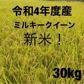 新米！4年度栃木県産 ミルキークイーン 30キロ 玄米 白米 産地直送安心米(米/穀物)