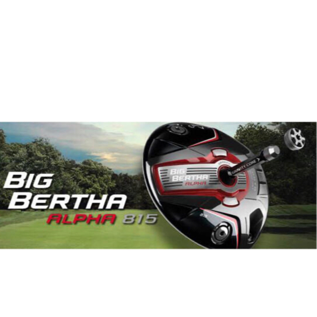 Callaway(キャロウェイ)のキャロウェイ BIG BERTHA ALPHA 815  ヘッド スポーツ/アウトドアのゴルフ(クラブ)の商品写真