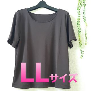 シャルレ(シャルレ)のシャルレ　カットソー　秋色　ブラウン　Tシャツ　夏～初秋(カットソー(半袖/袖なし))