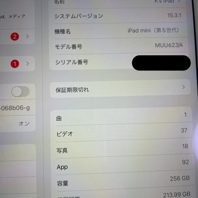 【美品】iPad mini 第5世代　Wi-Fiモデル　256GB