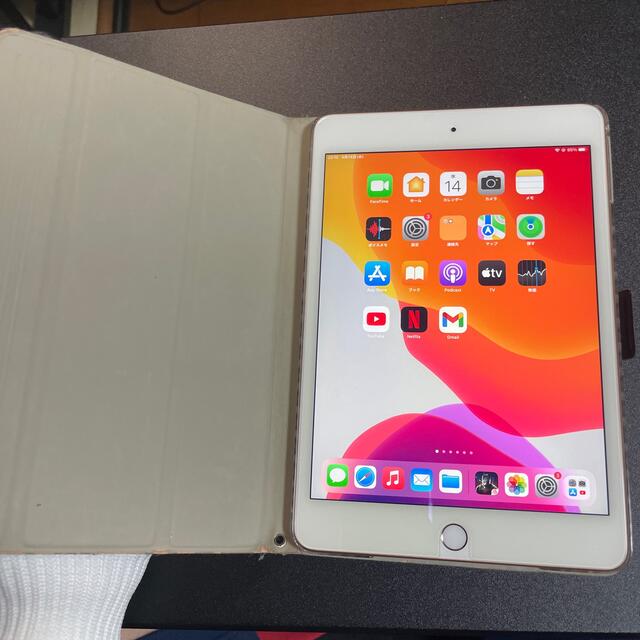 美品】iPad mini 第5世代 Wi-Fiモデル 256GB - www.sorbillomenu.com