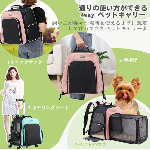 ペットキャリー その他のペット用品(猫)の商品写真