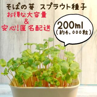 そばの芽 スプラウト種子 お得な200ml（約4,000粒）(野菜)