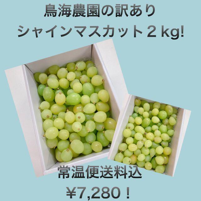 食品/飲料/酒110バラ・２ｋｇご家庭用訳ありシャインマスカット！