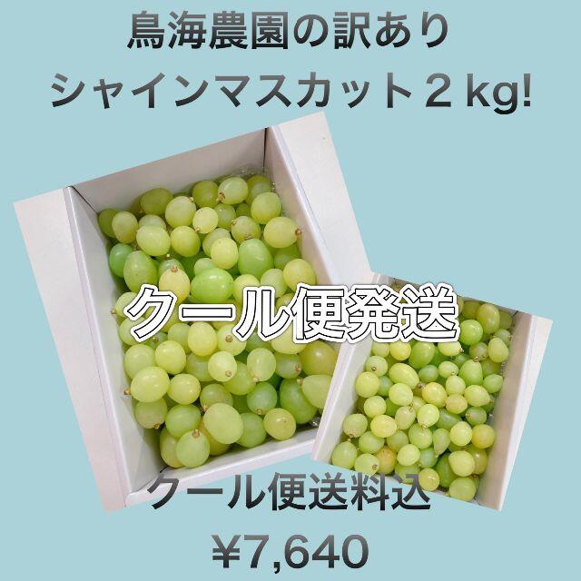 食品115バラ・２ｋｇクール便発送・訳ありシャインマスカット！