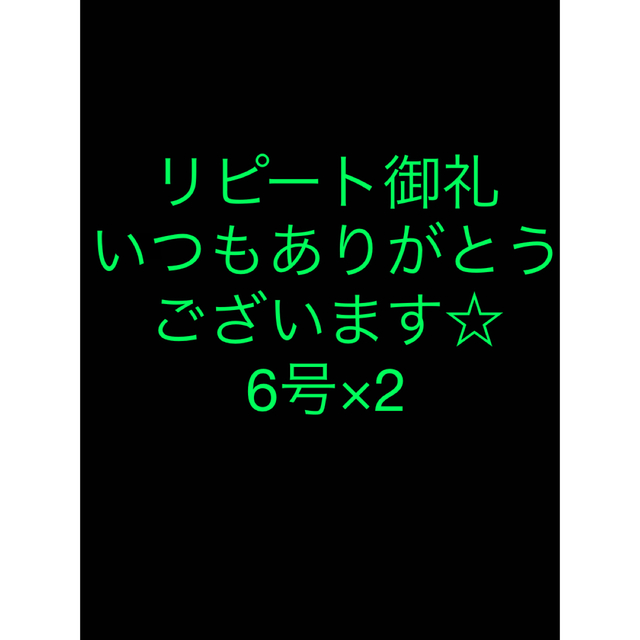 さびき 仕掛け針 2枚◉6号×2点 他より太く丈夫な糸 最安値 スポーツ/アウトドアのフィッシング(釣り糸/ライン)の商品写真