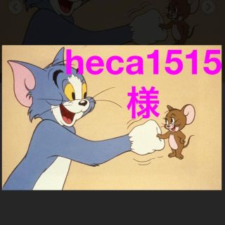 heca1515様 ☆ 立体インナー(外出用品)