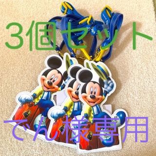 ディズニー(Disney)の【でん様専用】Disney バケーションパッケージ(キャラクターグッズ)