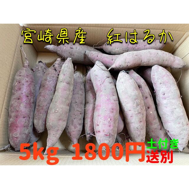 新物！宮崎県産さつまいも 紅はるか 土付5kg 食品/飲料/酒の食品(野菜)の商品写真