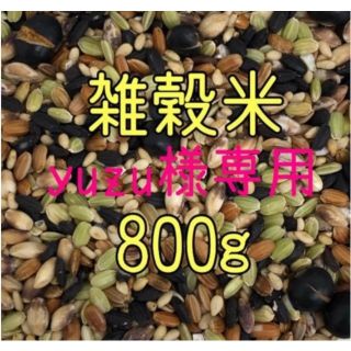 yuzu🦊様専用　雑穀米　800ｇ（400g×2）(米/穀物)