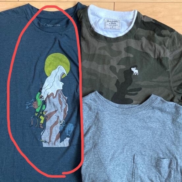 Teton Bros.(ティートンブロス)のTシャツTeton Bros.   メンズのトップス(Tシャツ/カットソー(半袖/袖なし))の商品写真