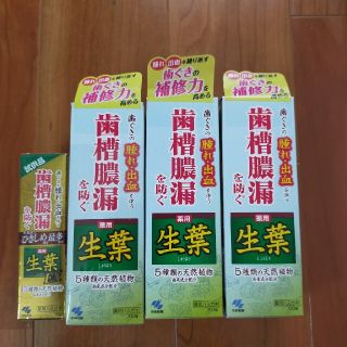 コバヤシセイヤク(小林製薬)の小林製薬　生葉(歯磨き粉)