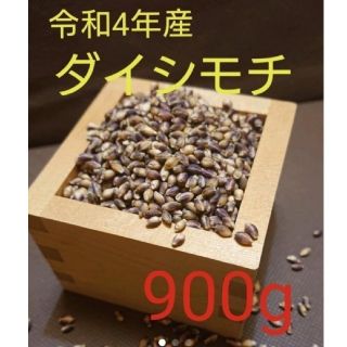 令和4年産　ダイシモチ玄麦(米/穀物)