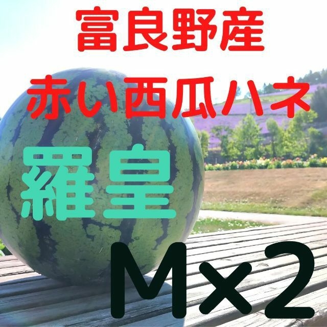 北海道 富良野産 赤いスイカ 西瓜 羅皇M 5kg超2玉 家庭用