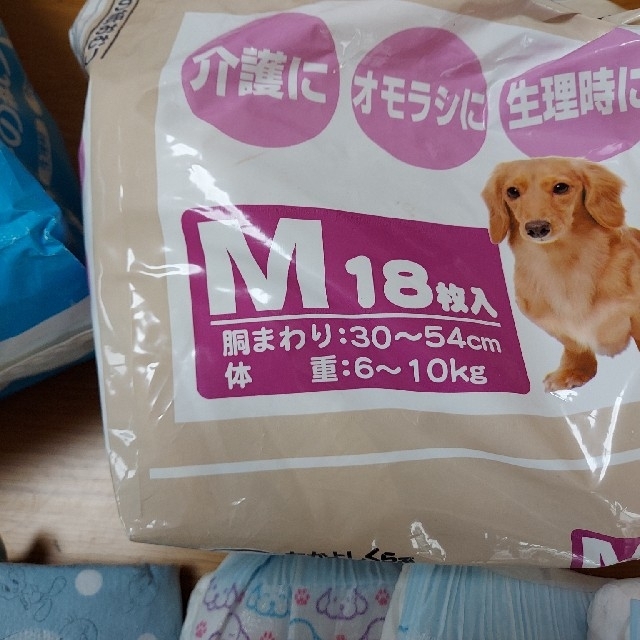 犬　オムツ　Mサイズ その他のペット用品(犬)の商品写真