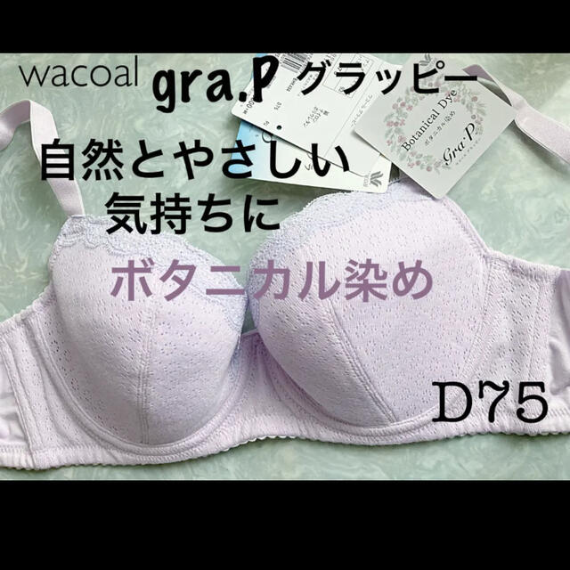 本日特価】 Salute 81G P-アップブラソングM Lサイズ♥ opri.sg