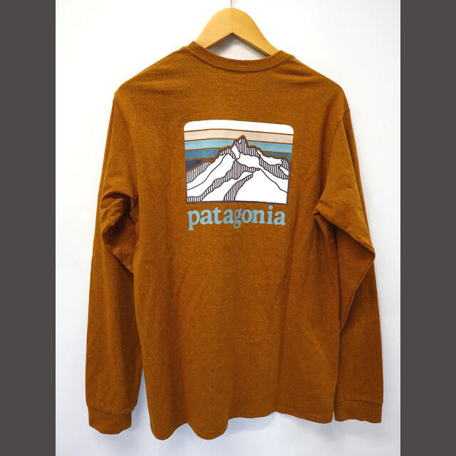 patagonia(パタゴニア)の21AW パタゴニア ロングスリーブ・ライン・ロゴ・リッジ・レスポンシビリティー メンズのトップス(Tシャツ/カットソー(七分/長袖))の商品写真