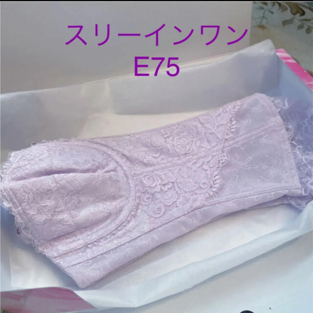 シャンデール スリーインワン E75 | usturology.ph