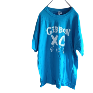 ギルタン(GILDAN)のUS輸入古着　プリントTシャツ　L　ライトブルー　GILDAN(Tシャツ/カットソー(半袖/袖なし))