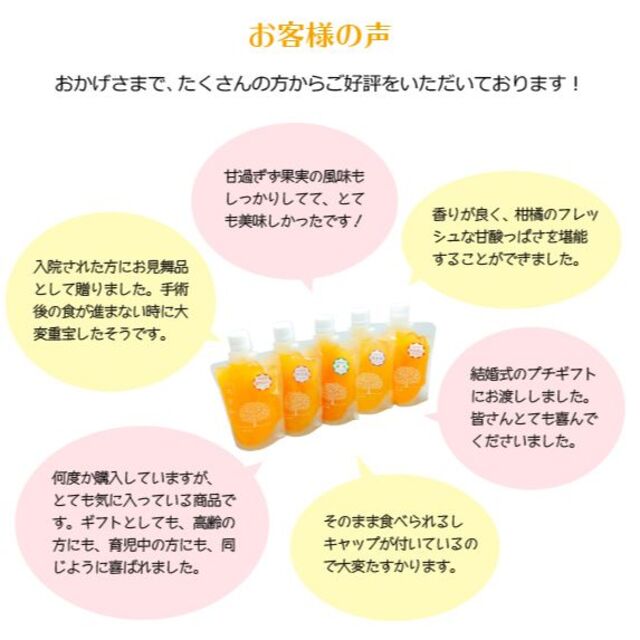 【大容量】かんきつジュレ「いちずみ」５０個 食品/飲料/酒の加工食品(その他)の商品写真