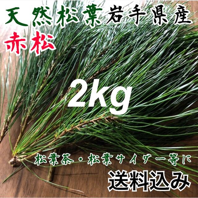 【大容量3kg】天然 松葉 新芽 松茸の産地 赤松　松葉茶