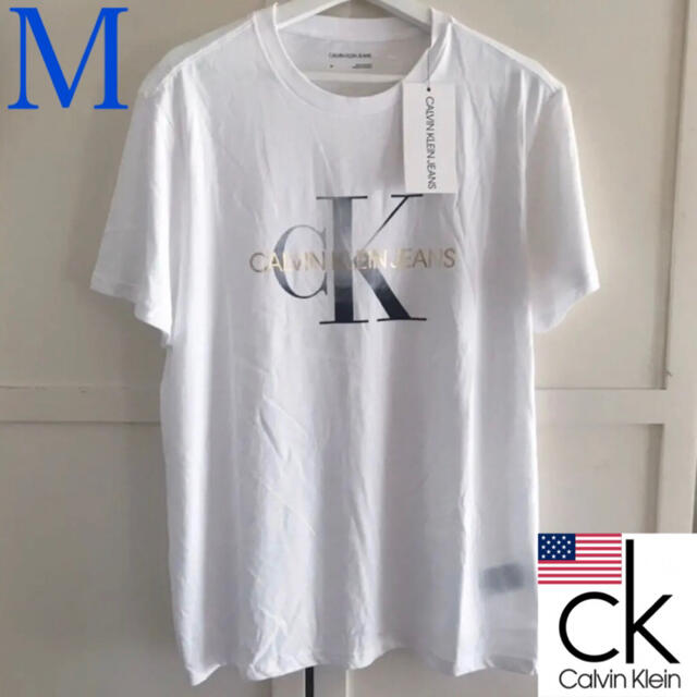 Calvin Klein - レア新品 カルバンクライン USA メンズ ロゴ Tシャツ