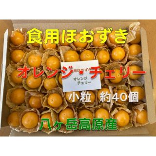 食用ほおずき　オレンジチェリー（ゴールデンベリー）　小粒　４０個　八ケ岳高原産(野菜)